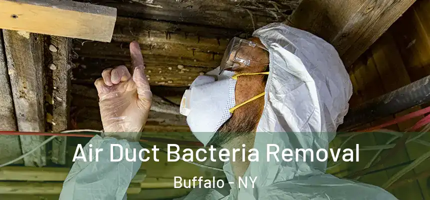 Air Duct Bacteria Removal Buffalo - NY