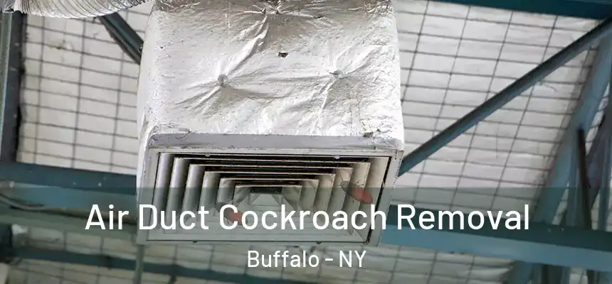 Air Duct Cockroach Removal Buffalo - NY