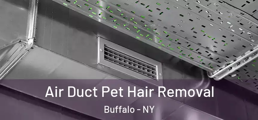 Air Duct Pet Hair Removal Buffalo - NY