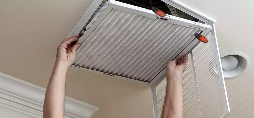 Preventive Cockroach-Proofing for Ducts in Buffalo