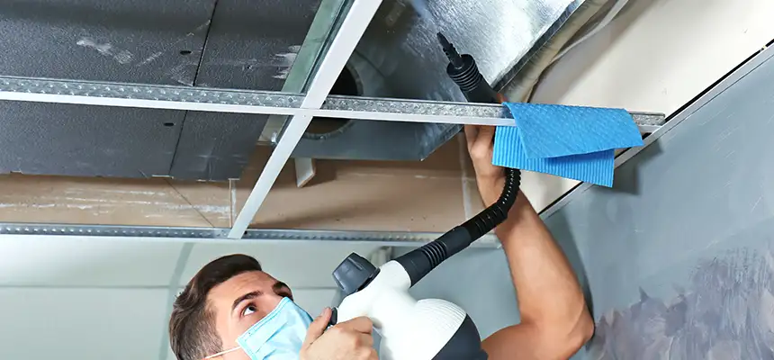 Our Air Duct Rodent Removal Services in Buffalo, NY