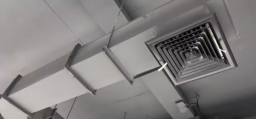 Our Pest Removal From Ducts Services in Buffalo, NY