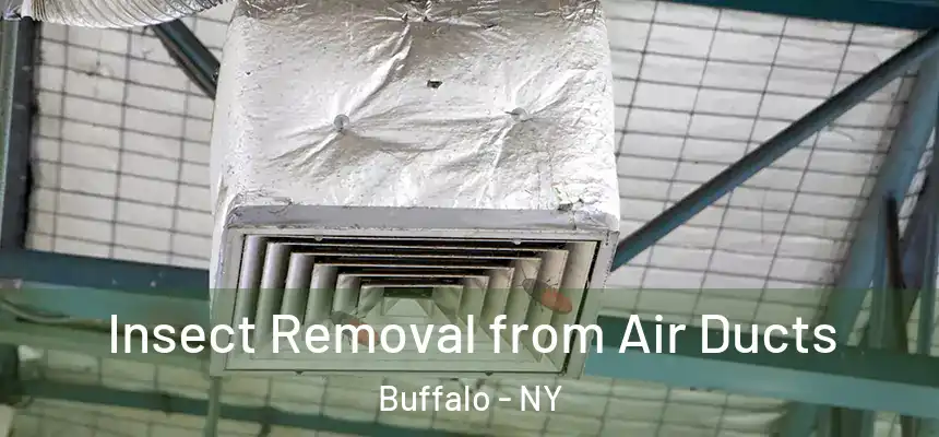 Insect Removal from Air Ducts Buffalo - NY