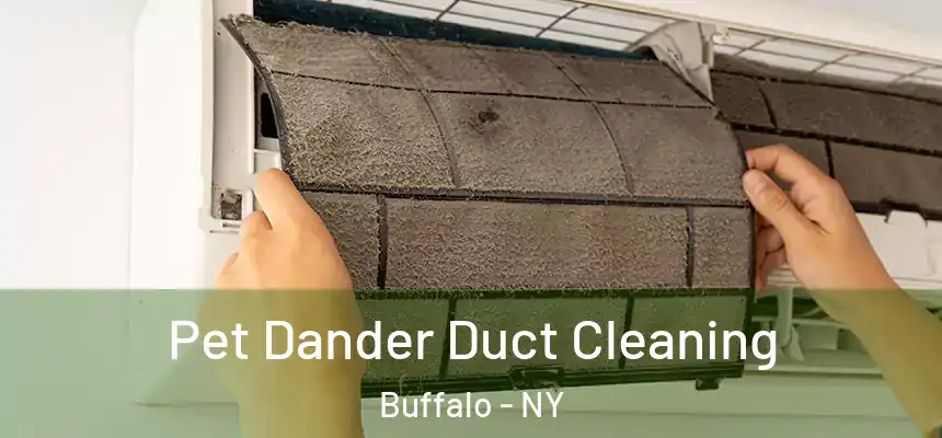 Pet Dander Duct Cleaning Buffalo - NY