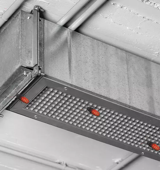 About Air Duct Cockroach Removal in Buffalo, NY