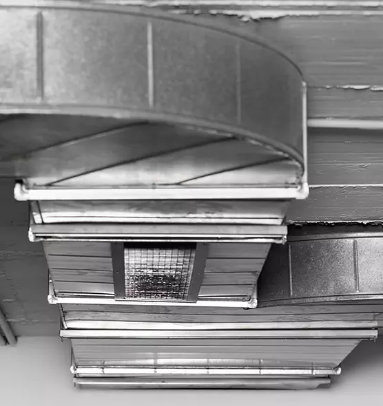 Professional Air Duct Pet Hair Removal in Buffalo, NY