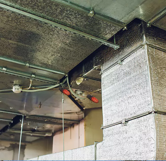 Why Homeowners & Businesses Trust Us in Buffalo, NY?