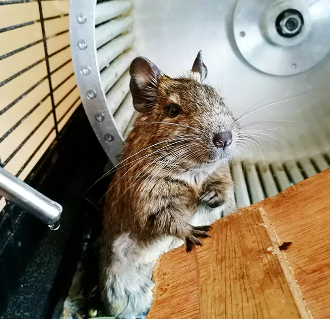 Why Homeowners & Businesses Trust Us Buffalo, NY?