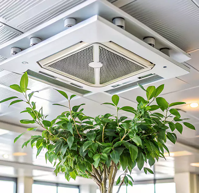 Why Homeowners & Businesses Trust Us in Buffalo, NY