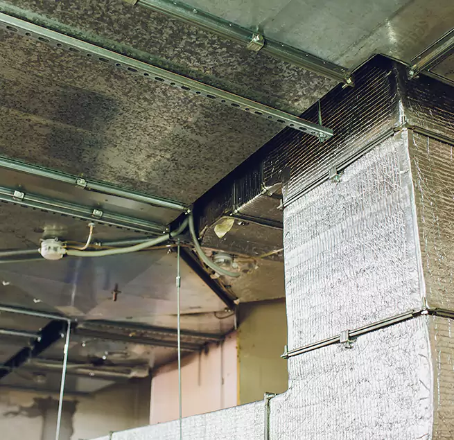 Why Homeowners & Businesses Trust Us in Buffalo, NY?